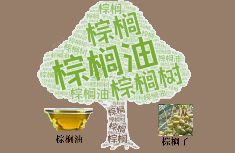 【XM官网】布林带收口预警!棕榈油即将选择终极方向?(图1)